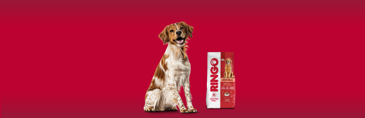 cómo elegir concentrado para perros